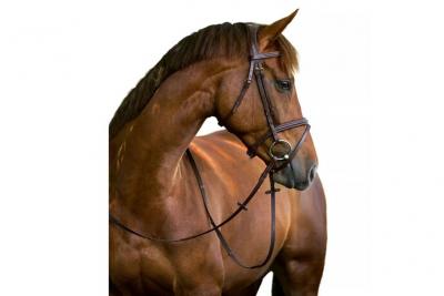 KERBL  Bridon Classic Cuir Marron Complet 324913
