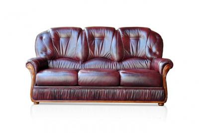 VENTE UNIQUE Vente-unique Canap&eacute; 3 places 100% cuir de buffle DAPHNE - Bordeaux