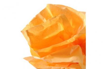 CANSON  Papier de soie, 0,5 x 5,0 m, 20 g/m2, vert