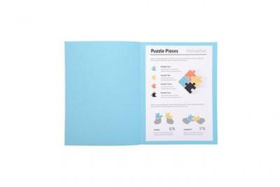 EXACOMPTA  Paquet De 100 Chemises "Jura 250" En Carte 240 Grammes Bleu Clair