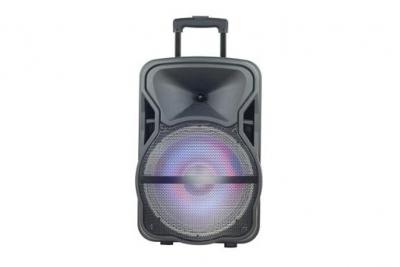BLAUPUNKT Enceinte karaok&eacute; trolley &agrave; LED -  - BLP3937-133 - Noir - Neuf