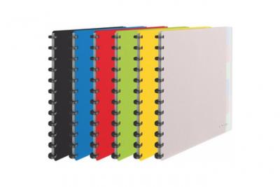 ESSELTE Prot&egrave;ge-documents Vivida Polypro Amovibles Assortis