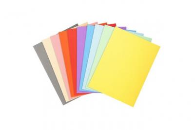 RAINEX  Chemises Dossier Standard Pour Format A4, 250g/M2,