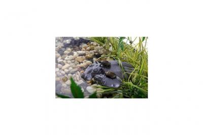 EXO TERRA  Hippopotame De L'&icirc;le Flottante 21,5X13,3X3,4 Cm