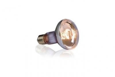 EXO TERRA Exoterra Ampoule Swamp Basking Spot pour Reptiles et Amphibiens 100 W