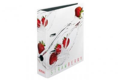 HERLITZ  Motivordner Max.File Fresh Fruit "Limette", Din A4