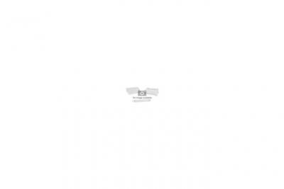 LEXMARK  E462U31E Cartouche de toner a rendement extremement eleve 1 x noir 18000 pages