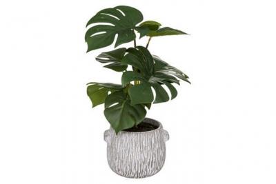 Atmosphera Monstera artificiel, pot ciment H35 cm  - Ivoire