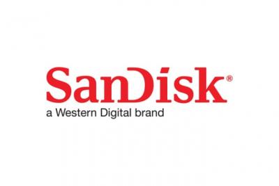 SANDISK  SDCFE-512G-GN4NN m&eacute;moire flash 512 Go CFexpress - Neuf