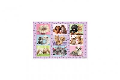 SCHMIDT SPIELE  Puzzle Mes amis les betes - 100 pieces