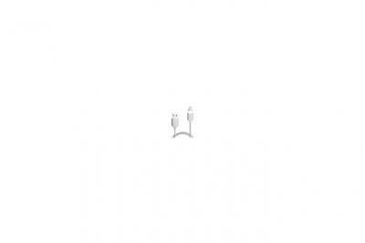  Cable lightning magnetique vers usb 1m argent 