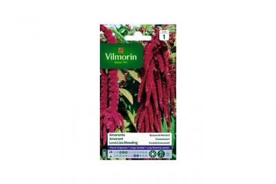 VILMORIN  5129841 Amarante Queue de Renard, Violet, 90 x 2 x 160 cm