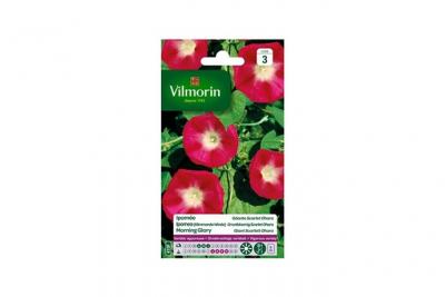 VILMORIN Graines d'Ipom&eacute;e Scarlet O'Hara