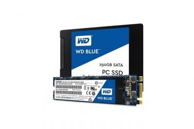 WESTERN DIGITAL  WD Blue SSD interne M.2 250 Go - SATA 6 Gbit/s 2,5