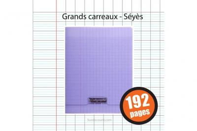 Cahier - 17x22(cm) - Grands carreaux - 192 pages - couverture en polypro - sans spirale - Clairefontaine - Calligraphe 