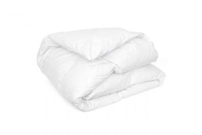 LINNEA Couette picardie garnissage duvet de canard 240x220 cm - Blanc