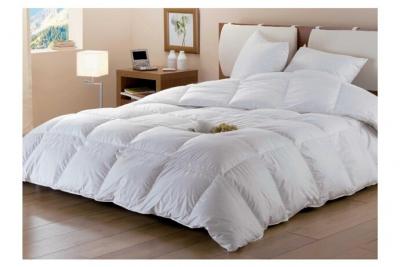 DODO  COUETTE BAFFIN 15% DUVET DE CANARD - CHAUDE - 240 x 260 cm