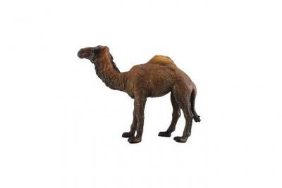  Collecta - Col88208 - Dromadaire - Taille L