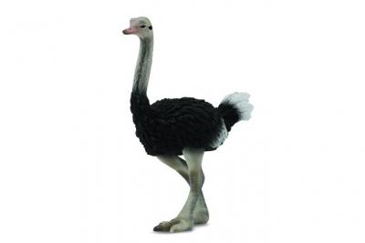 COLLECTA  Ostrich Figure Noir 3-6 Years
