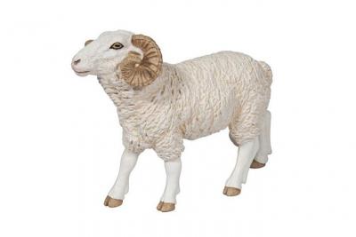 PAPO  - 51129 - B&eacute;lier 