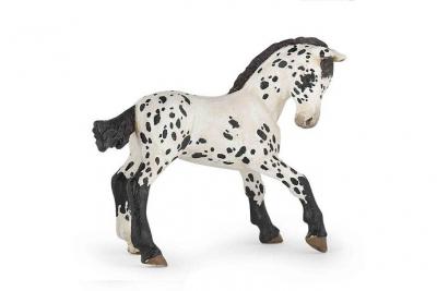 PAPO Figurine  Poulain Appaloosa Noir 