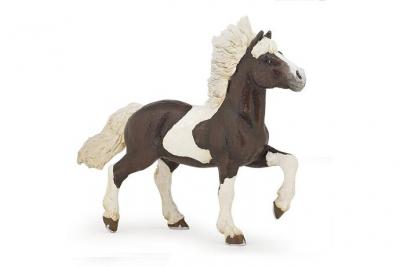 PAPO  - Cheval islandais pie alezan