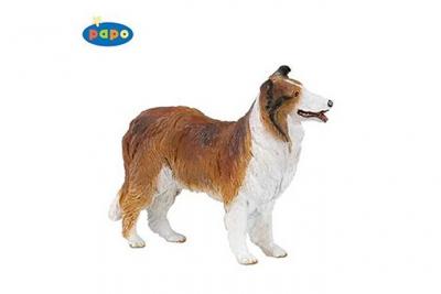 PAPO Chiens Et Chats De Collection Colley