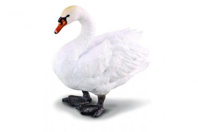 FIGURINES COLLECTA Collecta Swan Figure Blanc 3-6 Years