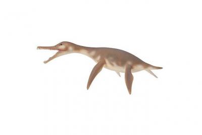  Collecta Dolichorhynchops Figure Gris 3-6 Years