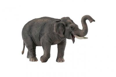 FIGURINES COLLECTA Collecta Asian Elephant Figure Gris 3-6 Years 