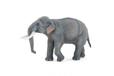 PAPO  - 50131 - El&eacute;phant d'Asie