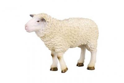  Collecta Sheep M Figure Blanc 3-6 Years