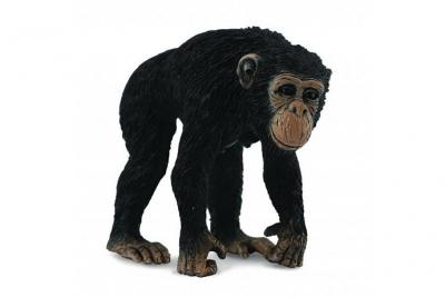 COLLECTA  - Col88493 - Chimpanz&eacute; Femelle - Taille M