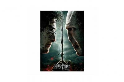 SD TOYS  Harry Potter Voldemort Vs Harry Puzzle 1000 Pieces Noir