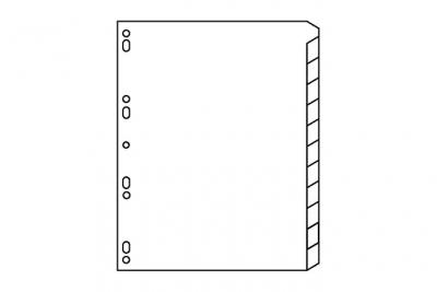 AVERY Intercalaire carton Mylar &agrave; touches neutres - A4+ - jeu de 12