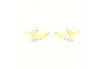 SCHOLTES Kit charnieres gauche et droite pour lave vaisselle  C00636775