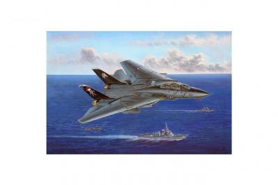 HOBBY BOSS Maquette avion  Grumman F-14B Tomcat- 1/48 - Maquette d'avi