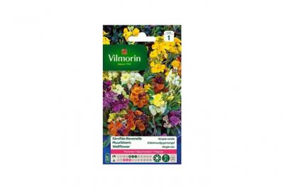 VILMORIN  Girofl&eacute;e Ravenelle simple vari&eacute;e