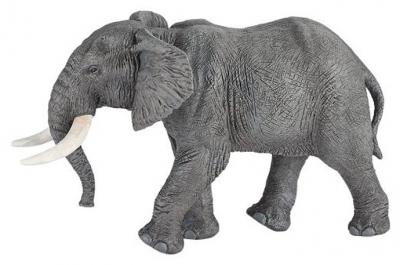 PAPO Elephant d'afrique - figurine  50192
