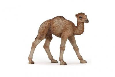 PAPO  - 50166 - Figurine - Animaux - B&eacute;b&eacute; Dromadaire