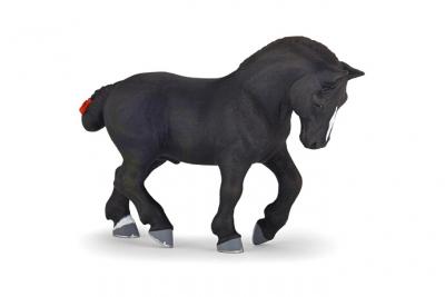 PAPO  - 51130 - Percheron