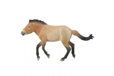 FIGURINES COLLECTA Figurine cheval : przewalski &eacute;talon 