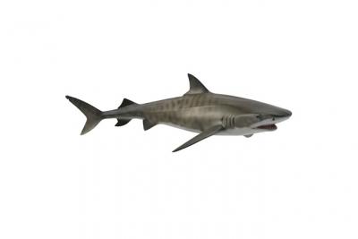 FIGURINES COLLECTA Figurine requin tigre  