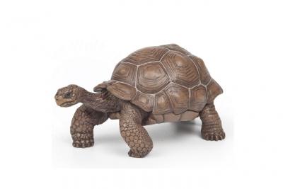 PAPO  - 50161 - Tortue des Galapagos