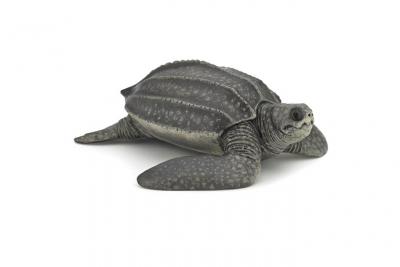 PAPO  - 56022 - Figurine - Animaux - Tortue Luth