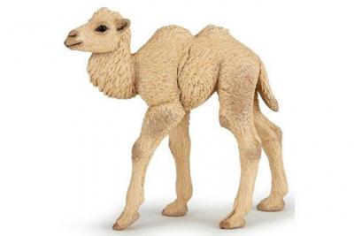 PAPO Nouveaute 2017 - bebe chameau - figurine  50221
