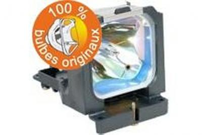 GO LAMPS - Lampe de projecteur (&eacute;quivalent &agrave; : Sanyo 610-330-7329, Sanyo POA-LMP105) - UHP - 300 Watt - 2000 heure(s) - pour Sanyo LP-XT20, XT25; PLC-XT20, 