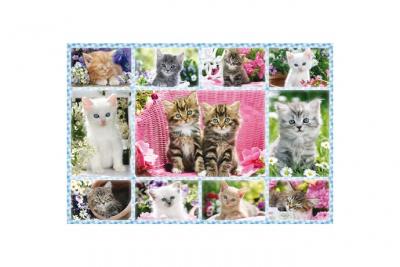 SCHMIDT SPIELE Puzzle 100 Pi&egrave;ces : Chatons, 