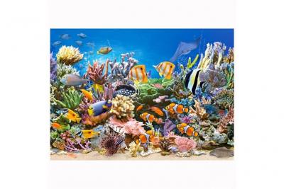 CASTORLAND  Couleurs de l'oc&eacute;an, Puzzle 260 pi&egrave;ces - - Puzzle