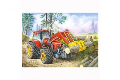 CASTORLAND  Forest Site, Puzzle 60 parties - - Puzzle